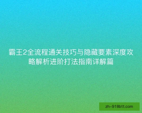 霸王2全流程通关技巧与隐藏要素深度攻略解析进阶打法指南详解篇